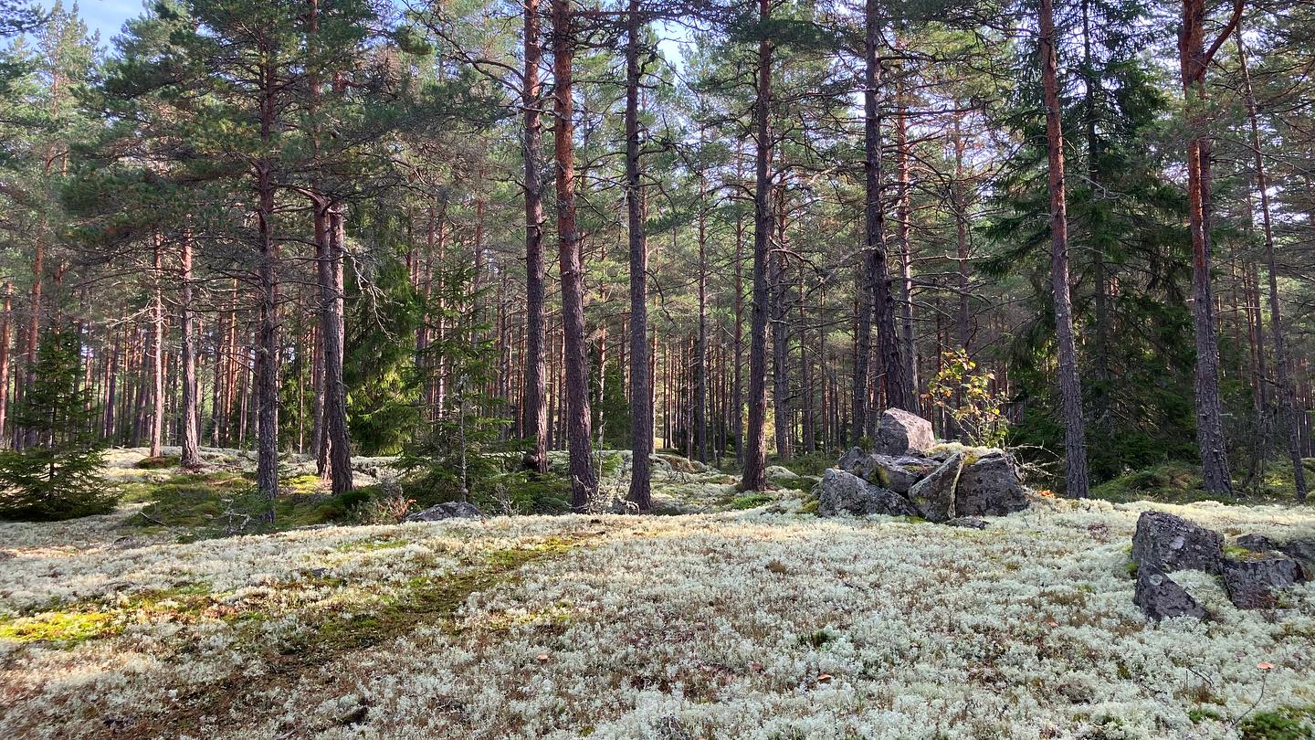 image: Nu börjar orienteringsträningen!