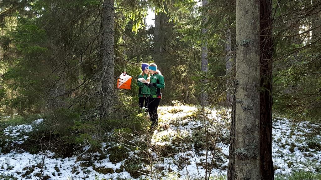 image: Annandagsloppet söker banläggare!